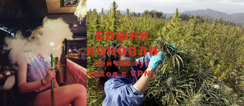 мориарти формула  Кизилюрт  Шишки марихуана SATIVA & INDICA  купить закладку 